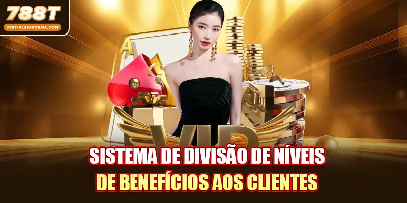 Promoções VIP - Privilégios De Alto Padrão Para Você 2 Sistema de divisão de níveis de benefícios aos clientes